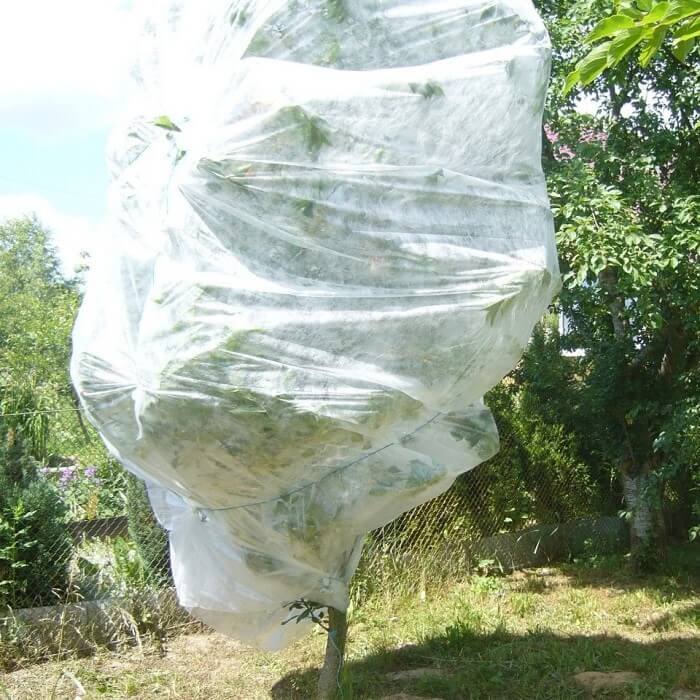 Защита от насекомых вредителей с помощью укрывного материала Агротекс 30